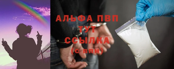 СК Аркадак
