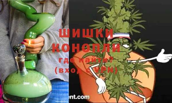 СК Аркадак